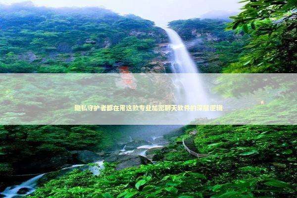 隐私守护者都在用这款专业加密聊天软件的深层逻辑