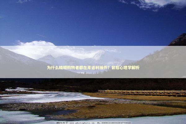 为什么精明购物者都在用返利插件？背后心理学解析