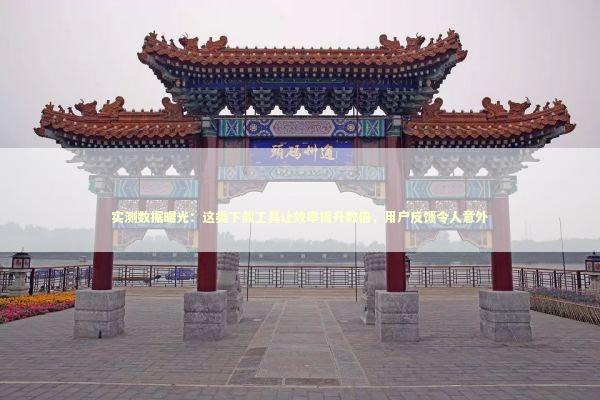 实测数据曝光：这类下载工具让效率提升数倍，用户反馈令人意外