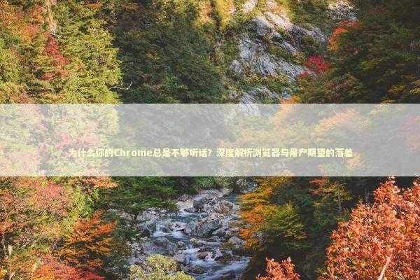 为什么你的Chrome总是不够听话？深度解析浏览器与用户期望的落差